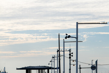 low angle view seagulls perching on the street lights against the cloudy sky