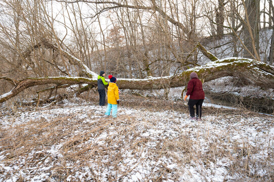 Families gather in winter to clear fallen tree from snowy creek in serene park, creating a safe space for outdoor play and exploration amidst nature