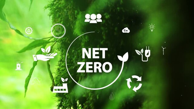 Net Zero concept, Net zero 2050 and carbon neutral concept. Circular economy concept. Net zero greenhouse gas emissions target Climate neutral long term strategy