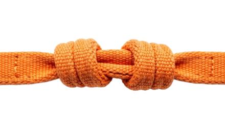 Rugged, vibrant orange canvas webbing & a tightly pulled half-hitch knot, extreme close-up on stark white, high-key lighting, robust utility