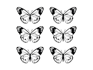 Obraz premium Elegant Black and White Butterfly Illustrations Six Exquisite Designs