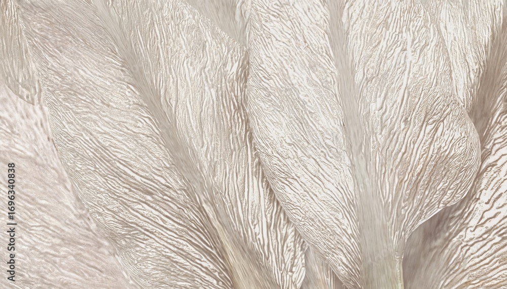 Poster delicate ivory leaf veins with soft organic texture and flowing lines creating abstract botanical ba