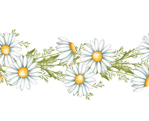 Chamomile seamless border. Hand drawn illustration - frame with daisy flowers