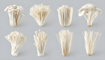 Obraz premium Pack Enoki Set in Different Poses Against Transparent Background for Asian Cuisine, Health Foods, or Recipe Design