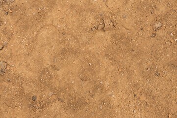 Fototapeta premium Brown desert soil surface with dry earth and sandy dust texture