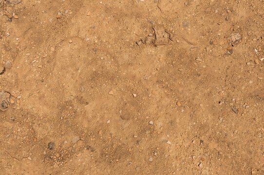 Brown desert soil surface with dry earth and sandy dust texture