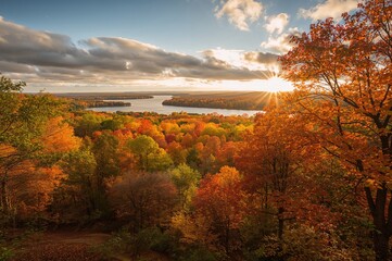 Obraz premium Woodland displaying fall hues