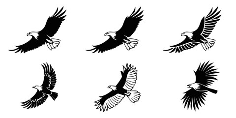 Fototapeta premium Six Stylized Eagle Silhouettes in Flight.