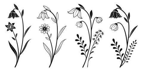 Black and White Botanical Illustrations of Delicate Flowers.