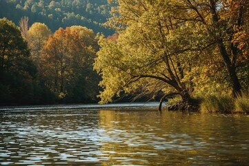 Obraz premium Serene River in Fall