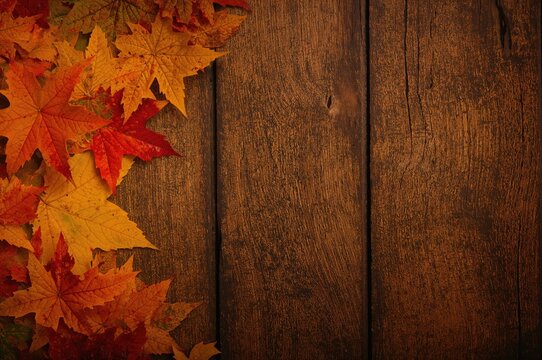 Fallen autumn foliage on aged dark wood surface
