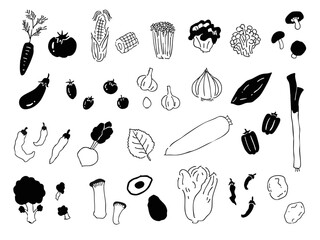 野菜の線画イラストセット（手書き風・ベクター素材・農業・食品デザイン）