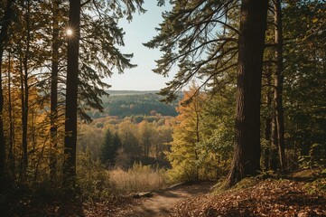 Obraz premium Dendrological Gardens with Hiking Paths in a Picturesque Urban Setting