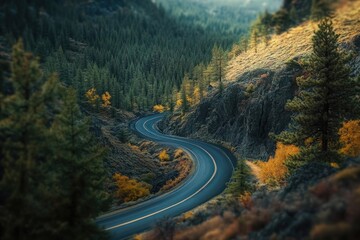 A winding asphalt road curves through a lush green forest, showcasing the beauty of autumn colors in the landscape.