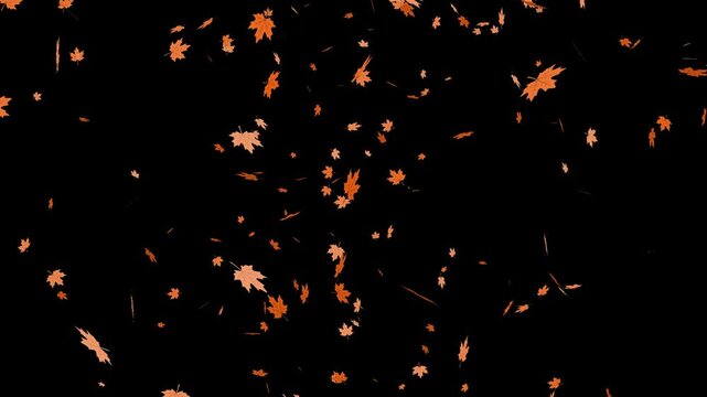 loop animation of falling orange maple leaves on transparent background, ideal for autumn-themed videos, motion design, overlays, presentations, and seasonal video projects.