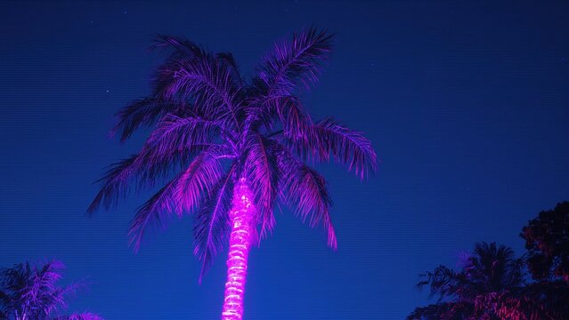 Abstract neon palm tree glowing against a glitchy blue and purple backdrop in a retro-futuristic cyberpunk style.