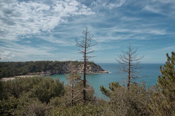 Obraz premium Scenic summer landscape featuring forest, beach, and open road under clear sky