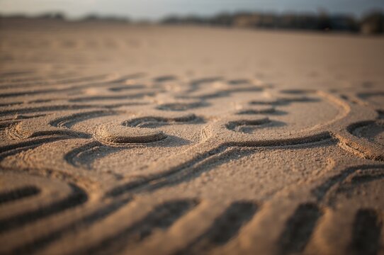 Wind-formed natural patterns and shapes in sandy terrain