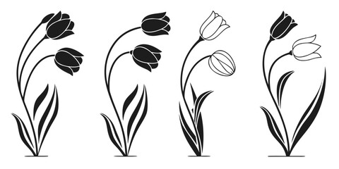 Stylized Tulip Flower Silhouettes and Line Art