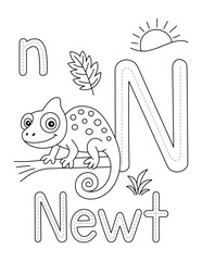Charming Newt Alphabet N Learning Page