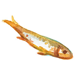 Watercolor painted roasted fish Hand drawn seafood design elemen