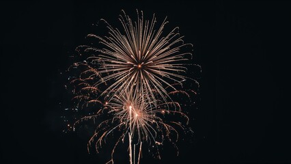 Obraz premium Nighttime sky illuminated by festive fireworks