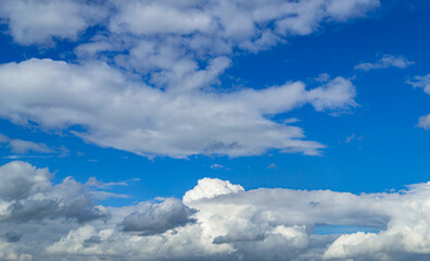 A beautiful white cumulus cloud is illuminated by the sun