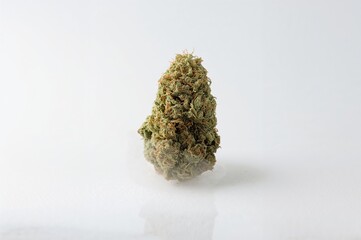Marijuana Bud