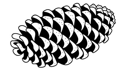 black and white cones on white background