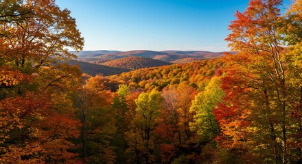 Fototapeta premium 秋の紅葉山並みの絶景写真