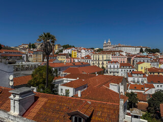 Obraz premium Lisbon, Portugal - City view with a palm tree in the foreground. The buildings are mostly white and red, and the sky is clear and blue