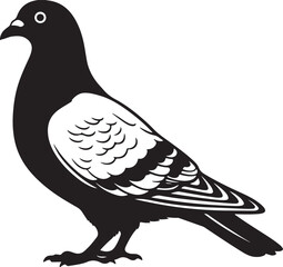 Pigeon Bird Silhouette Black and White Pigeon Design Clip Art