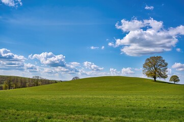 Hilarious slopes during the spring season