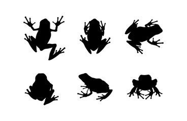 Set of black vector frog silhouettes isolated on white background. Collection of poisonous amphibians with slender long legs in various poses, shown in front, back, side, and top views