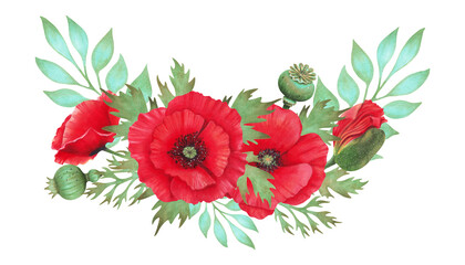 Horizontal composition of scarlet poppy flower with pod and turquoise branch. Botanical watercolor illustration. Hand drawn isolated work. Symbolism of memory, peace. Wild flowers for packaging, card