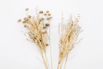 Dried botanicals with charming decorative features