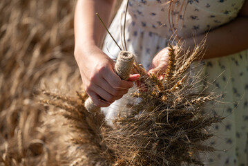 Girl weaving a wheat wreath. A girl in a white dress on a wheat field, weaving a wreath from wheat...