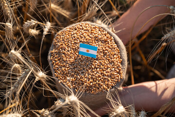 Hands holding a bag of wheat with Argentina flag in a field. Close-up of hands holding a bag of...
