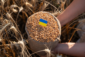 Woman hands holding a bag of wheat with Ukraine flag in a field. Close-up of hands holding a bag of...