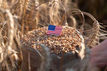 A bag of wheat grain with a flag of the USA in a field. Close-up of a bag of wheat grain with an...