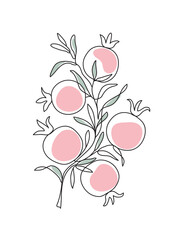Branch with pomegranates and leaves. Shana Tova. Modern single line art drawing. Continuous line drawing. Outline draw design color vector illustration