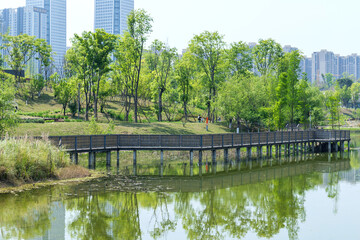 Obraz premium The green scenery of Guixi Ecological Park in Chengdu, Sichuan Province, China