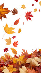 Colorful autumn leaves are gently falling against a clean white backdrop, creating a vibrant and inviting frame with a sense of motion and seasonal atmosphere	