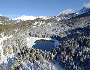 Snowy mountain lake nestled in a forest.  A high-angle view shows a frozen lake surrounded by snow-covered evergreen trees and high snow-capped mountains