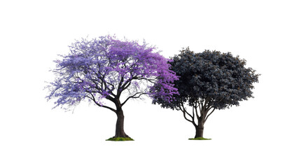 Three Fantasy Trees Purple, Lavender, and Dark, Isolated on Transparent Background