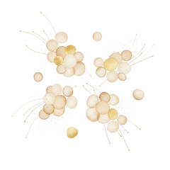 Abstract golden orbs and splashes isolated on transparent background