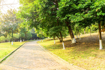 The natural scenery in Chengdu Jinjiang Lake Park
