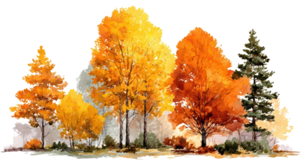 Watercolor fall forest with orange and yellow trees on transparent background