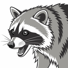 Closeup illustration of a raccoons head