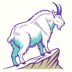 Mountain goat standing on a rocky outcrop